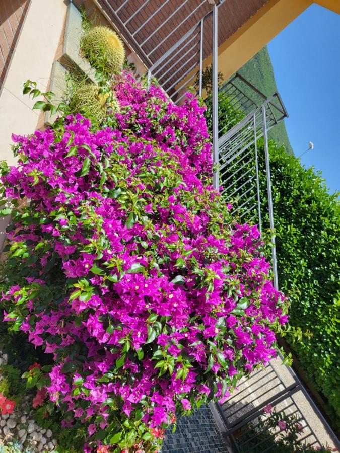B&B Rossella Montoro Inferiore Exterior foto